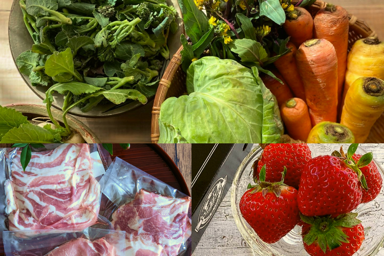 厳選食材イメージ