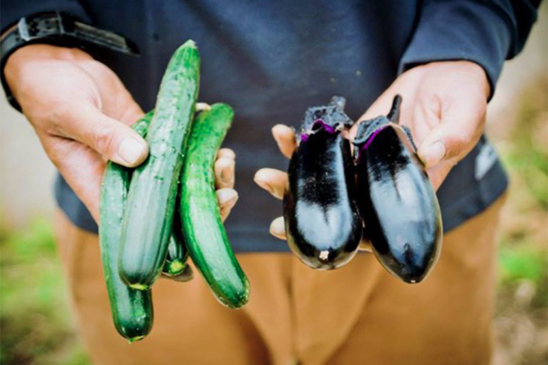 食べチョク TABECHOKU