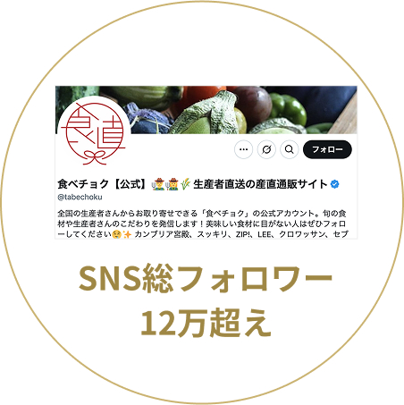 SNS総フォロワー数10万超え